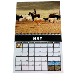 Calendar_2023_2_Large